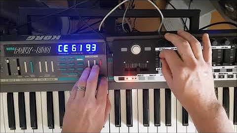 Korg Poly800 Hawk800 AtomaHawk Sequences Demo