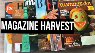 Magazine Harvest #gluebook #magazineharvest #magazinecollage #gluebooks #journal #collageart #crafts