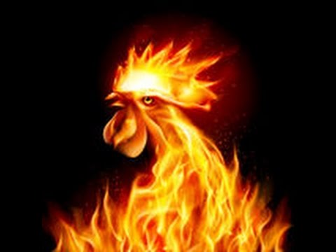 วีดีโอ: วิธีฉลองปี ของ Fire Rooster