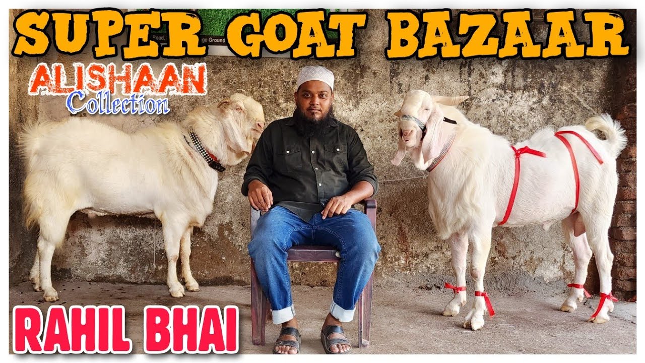 Rahil Bhai ALISHAAN Goat Bazaar In Bhiwandi RAHIL BHAI | Super Duper Bakra Bakri ...