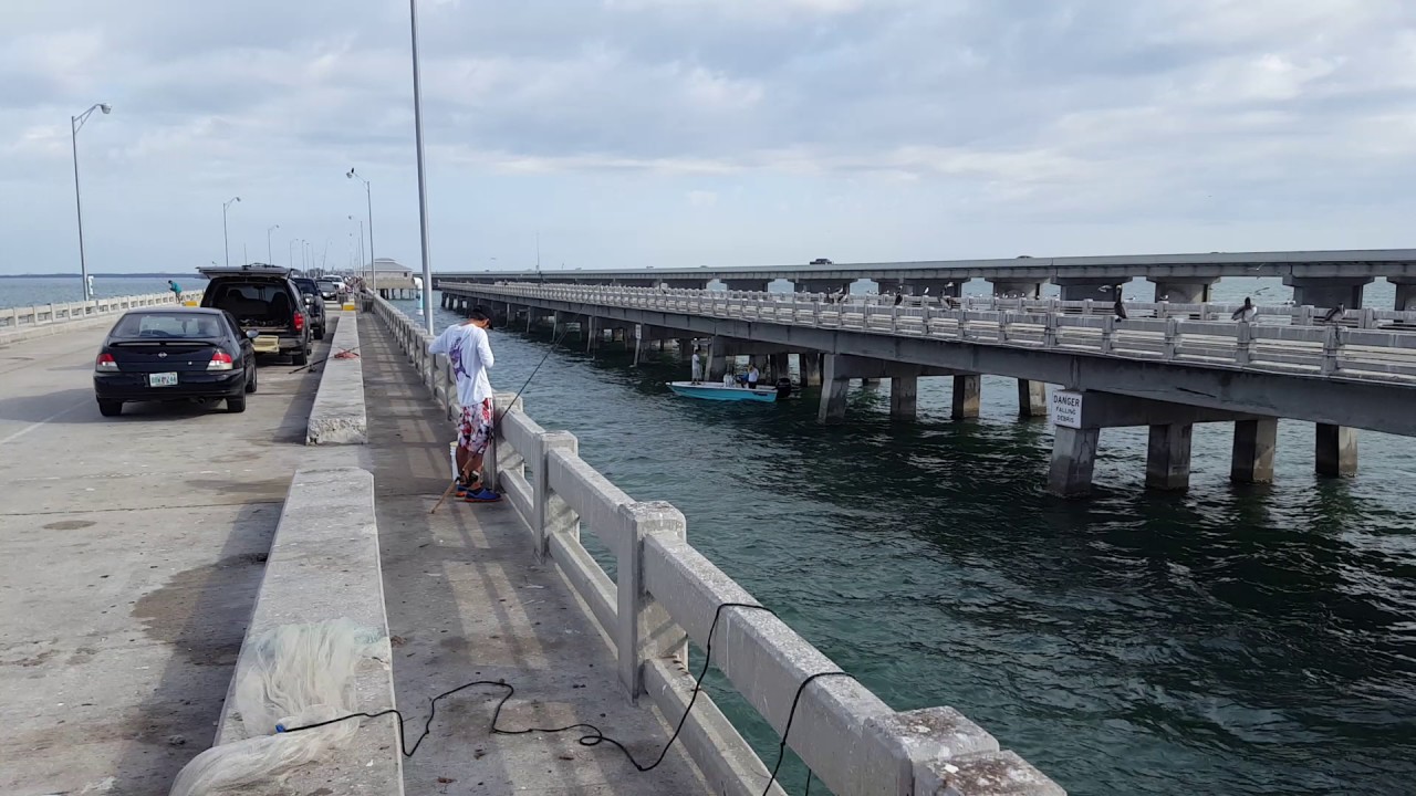 Spanish sardines at the sunshine skyway bridge YouTube