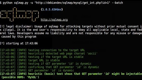 How To Run SQLmap On Windows