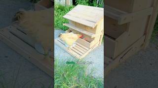 Homemade Chicken Feeder From Old Junk chicken duck farming #bhaktidhara1996