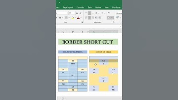ALL BORDERS SHOTCUT Easiest Way to Apply Auto Border in Excel  #excelshortcuts