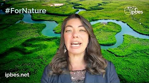 #IPBES8 Scoping report for interlinkages among biodiversity, water, food and health (Nexus)