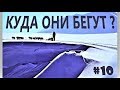 ОДНИ В ТАЙГЕ ДВОЕ СУТОК \ КАРАГИНСКИЙ ПЕРЕВАЛ \ БЕРИНГИЯ 2019 \ КАМЧАТКА  #10