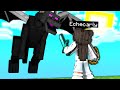 HO UCCISO L'ENDERDRAGO - MINECRAFT ITA