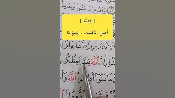 إدغام المتماثلان الكبير كلمة { نِعِمَّا } #مصحف_المتتعتع #تجويد_القرآن_الكريم