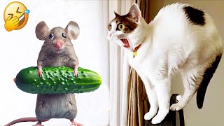 Funniest 2024🤣Cats and 🥒 Cucumbers - Awesome Funny Pet Videos 🤣🦮Part 15