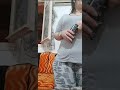 احلى لايف خديجة العريضة محبوبه جماهير كلشي اشارك في قناة ديما جديد جزء 5 احلى لايف خديجة العريضة محبوبه جماهير كلشي اشارك في قناة ديما جديد جزء 5