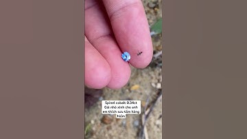 Spinel Xanh Cobalt hàng hiếm 💎 #ruby #gemstone #daquytunhien #daquythiennhien #spinel #daquy