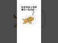 犬が一日中寝てる本当の理由 #犬 #ペット #雑学