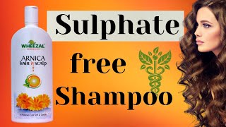 Buy Sunny Herbals Arnica Shampoo For Hairfall Control  Dandruff
