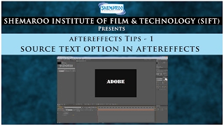 AE Tip 1 Source Text Option in AFX
