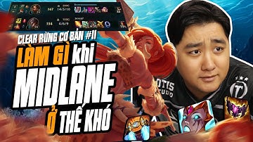 Cẩm Nang Đi Rừng Cơ Bản #11 : Nidalee Vs Sylas - Mid Ở Thế Khó Thì Nên Làm Gì?
