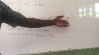 Grade 3 Owop Lesson