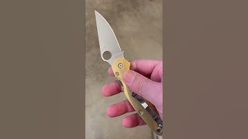 Spyderco Paramilitary 2 Flytanium Lotus Brass Scales knife quick flick