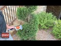 STIHL HSA 25 Garden Shears Demonstration by Howard Brothers