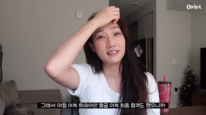 해고당했습니다.... (미국 승무원)