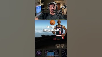 🌤️ High Altitude Transition: Entering München Airspace! #vatsim #flightsim #xplane11