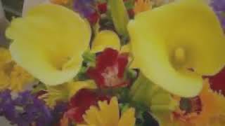 رابط تحميل ومشاهده فيلم # اخر ديك فى مصر #