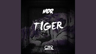 Tiger (Original Mix)