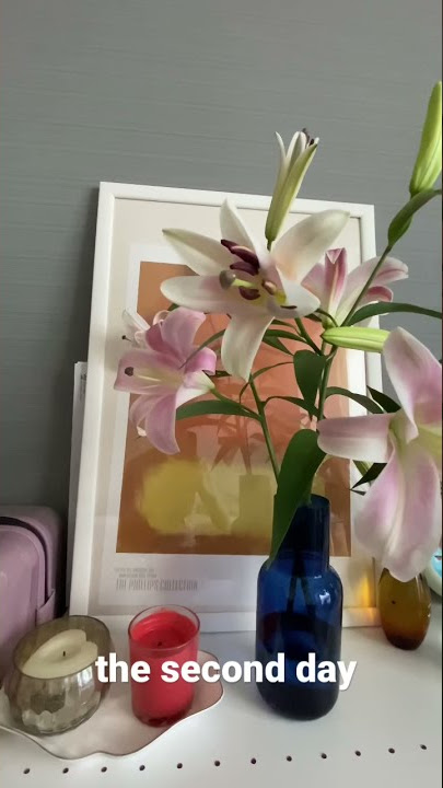 Bought lilies for the room #shorts  #flowers  #lilies