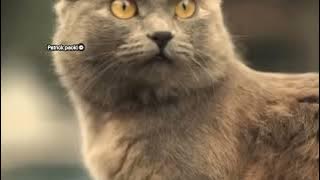 Soulful Gospel Instrumental Journey