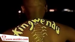 Kingwendu | Mapepe | Official Video chords