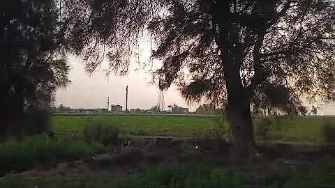صورخلبه من مصر Mp3