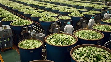 Inside The Cucumber Pickles Mega Factory | From Farm To Jar