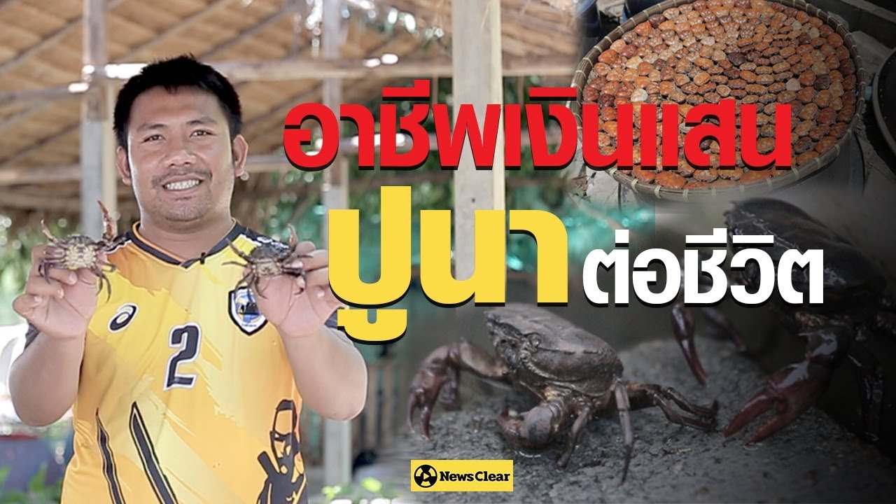 อาชีพเงินแสน ปูนาต่อชีวิต