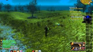 Voidwalker bug 2