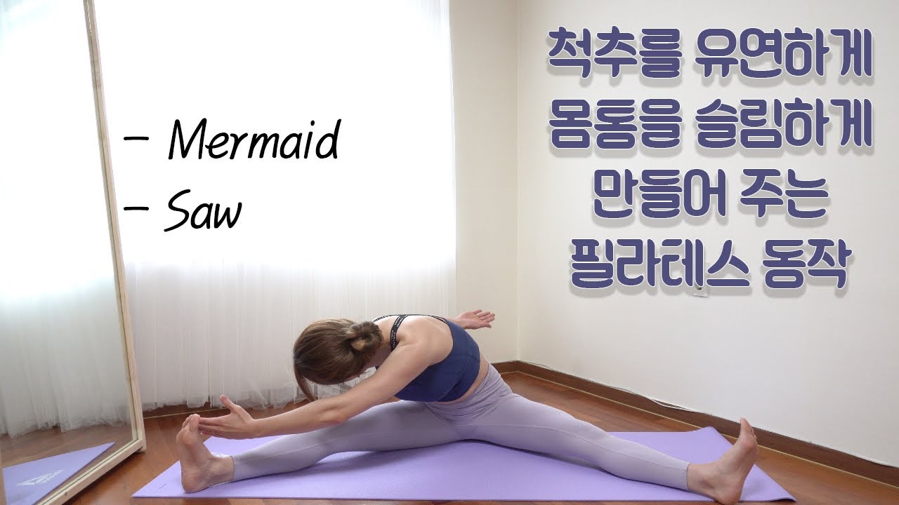 [필제배.3 척추와 골반 유연성 ] 필라테스 교육강사에게 제대로 배워보세요 / 필라테스제대로배우자 / 레슨영상 포함 / 필라테스 자격증 공부