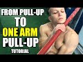 Master The One Arm Pull Up | STEP BY STEP!