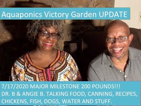 7:17:2020 victory in the aquaponics victory garden 200 lb