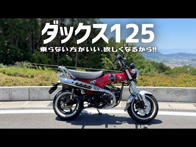 カブヌシ】c125とダックス125乗り比べ（乗り換え？増車？やっぱりカブ