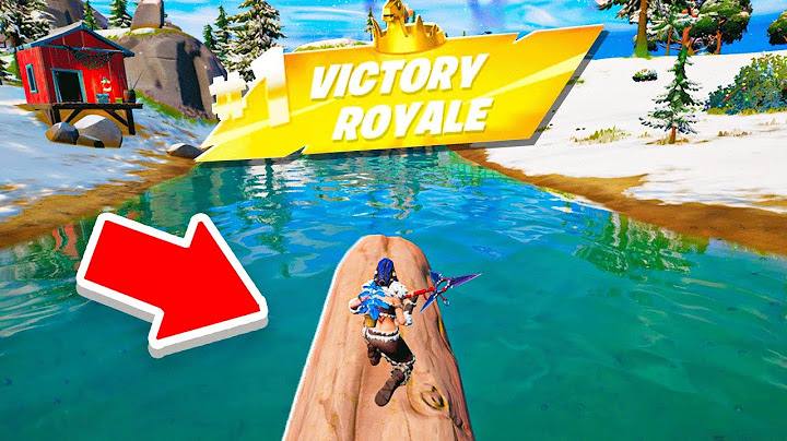 DEI A VITÓRIA PRA UM TRONCO NO FORTNITE KKK