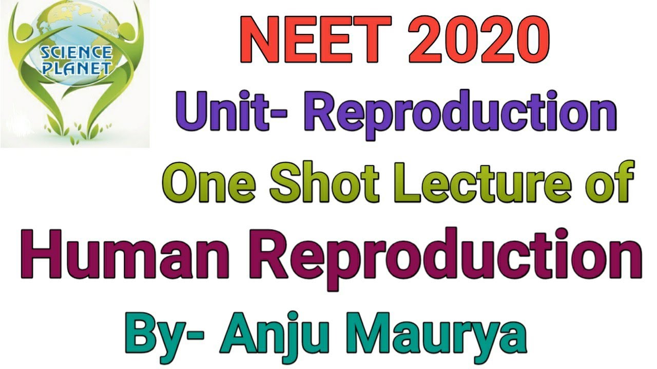Human Reproduction in One Shot!!  By- Anju Maurya
