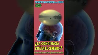 MENTE Y CONCIENCIA #espiritualidad #yoga #meditacion