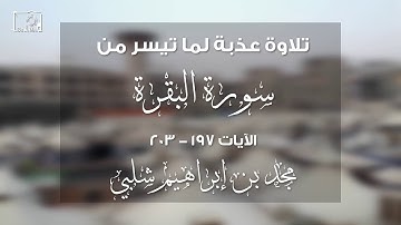 🕋🎙 (الحج أشهر معلومات) | تلاوة عذبة | مجد بن إبراهيم شلبي || FHD
