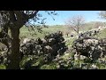 شوێنەواری کۆنی ساسانیەکان لە چیایی بەمۆ بەناوی گاورکرد شوێنەواری کۆنی ساسانیەکان لە چیایی بەمۆ بەناوی گاورکرد