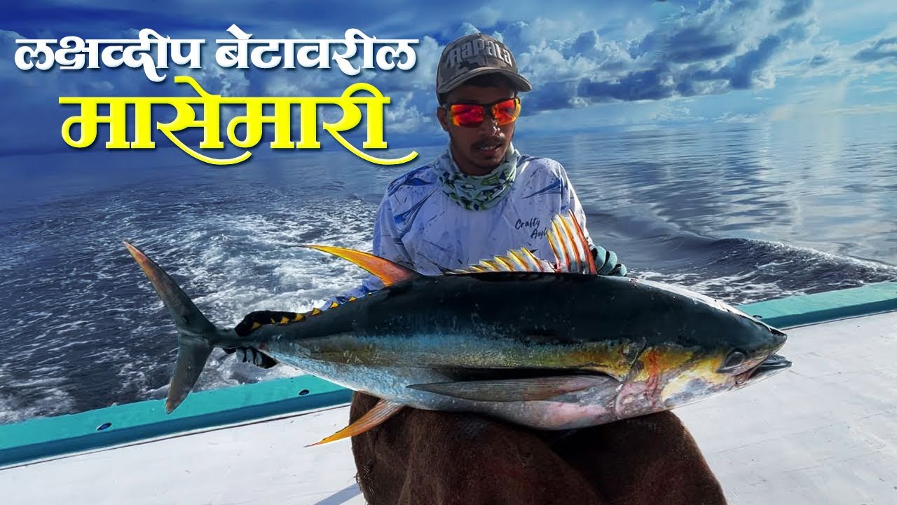 लक्षद्वीपच्या खोल समुद्रातील मासेमारी भाग-२ | Tuna Fishing In Deep Sea