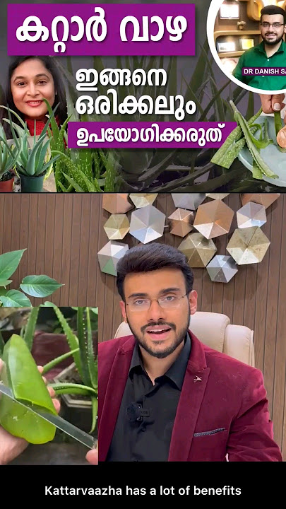 കറ്റാർ വാഴയുടെ ഈ ദോഷങ്ങൾ അറിയാതെ പോകരുത് | Benefits and side effects of Aloe Vera
