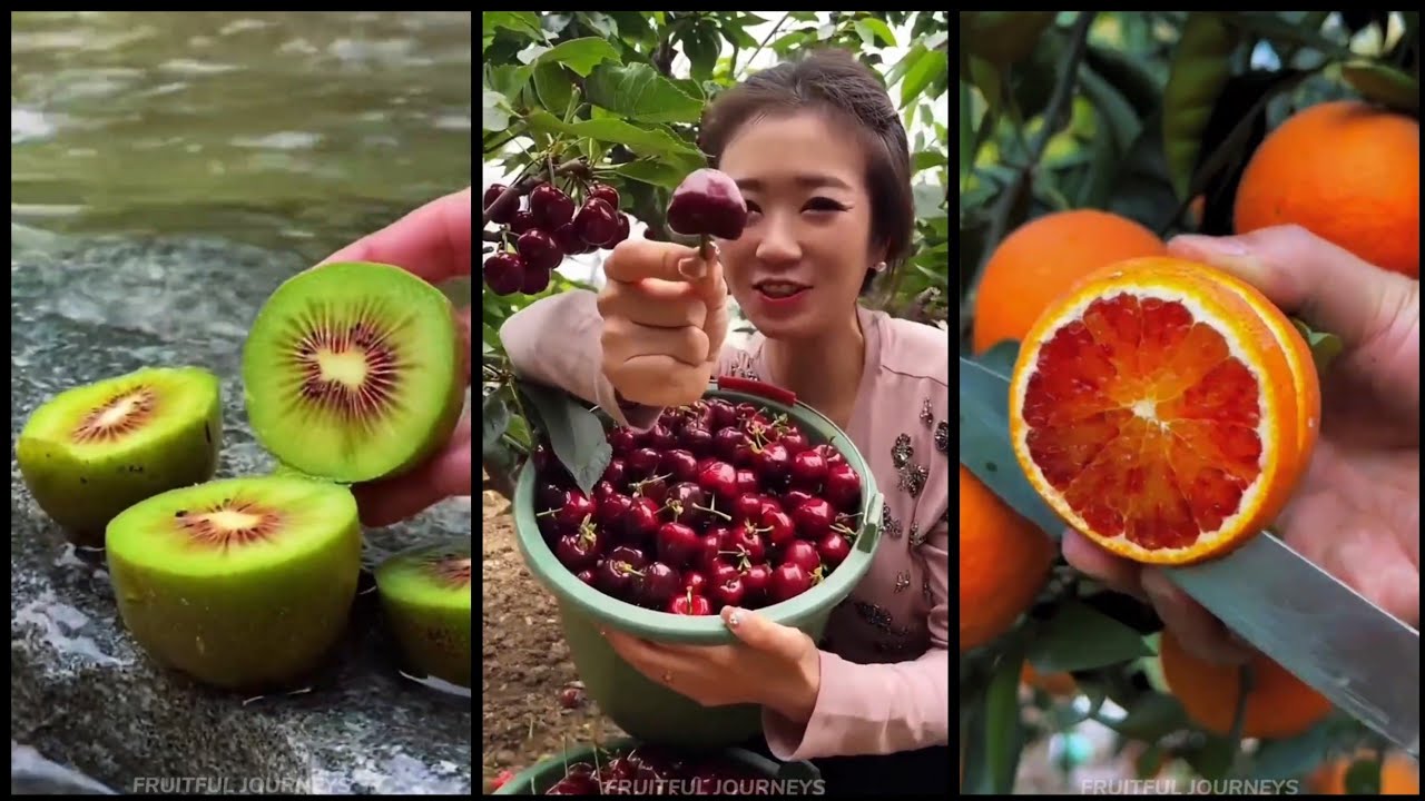 Farm Fresh Ninja Fruit Cutting | Oddly Satisfying Fruit Ninja #4