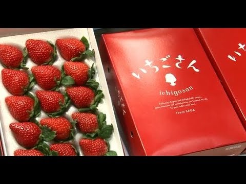 佐賀県産イチゴ いちごさん 東京で初競り 山口祥義知事 佐賀牛のようなトップブランドに Youtube
