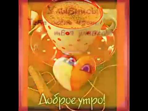 фото красивые ягоды онлайн