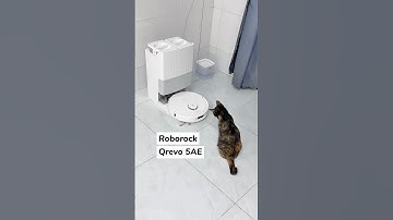 Robot hút bụi lau nhà Qrevo 5AE phục vụ boss mèo tận tình