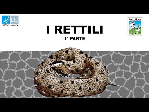 Video: I Rettili Si Estingueranno? - L'impatto Ambientale Sulla Salute Dei Rettili