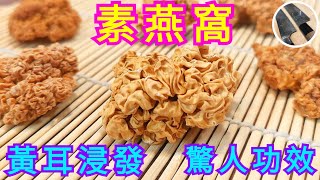 素燕窩【黃耳浸發】驚人功效👍🏼千萬不要短時間浸發⭐️等於吃蟲子，一招搞掂